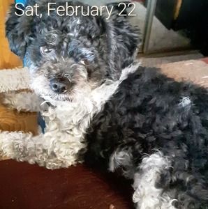 Meet your Posher, Todd